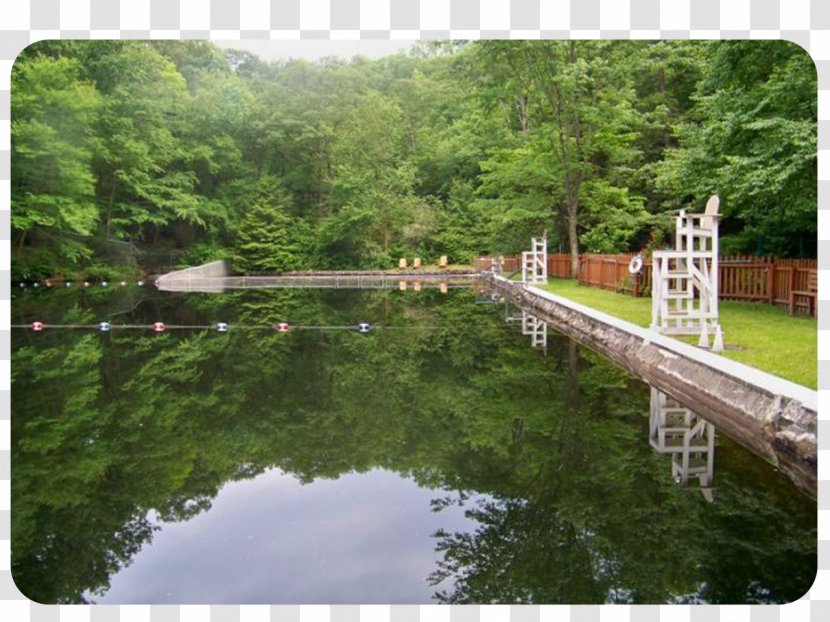 Highlands Natural Pool Pond Hot Tub Swimming - Garden - ROCKS Transparent PNG