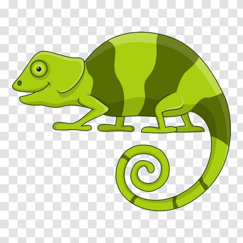 Chameleons Cartoon Stock Illustration - Reptile - Hand Painted Chameleon Material Transparent PNG