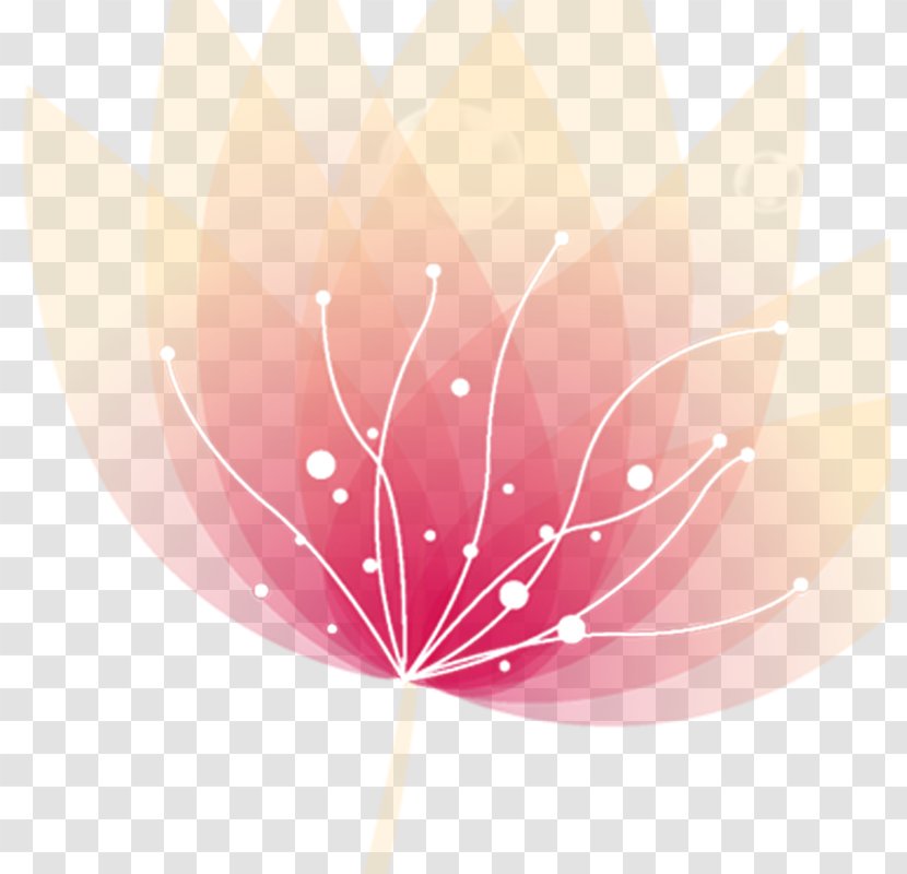 Flower Desktop Wallpaper Download - Photography - Pink Flowers Transparent PNG