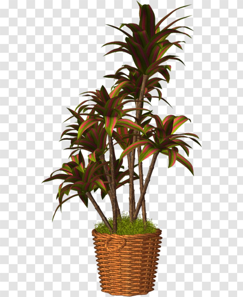 Flowerpot Arecaceae Houseplant Clip Art - Plant Stem Transparent PNG