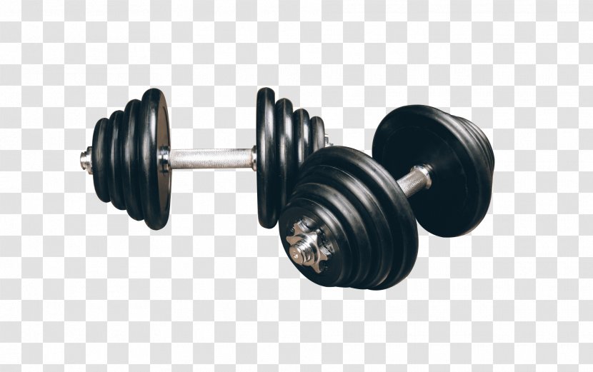 Dumbbell Weight Training Bodybuilding Barbell Fitness Centre - Physical Transparent PNG