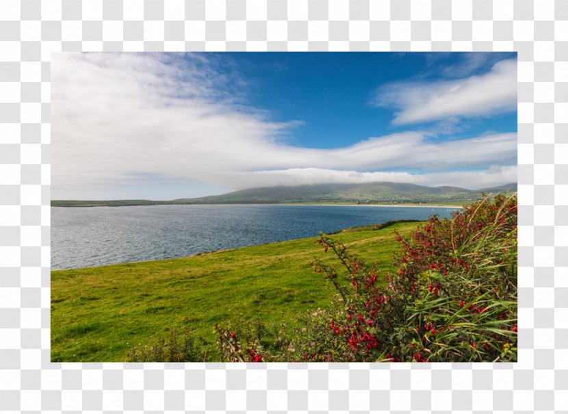 Land Lot Loch Real Property Sky Plc - Cloud - Harbaour Transparent PNG