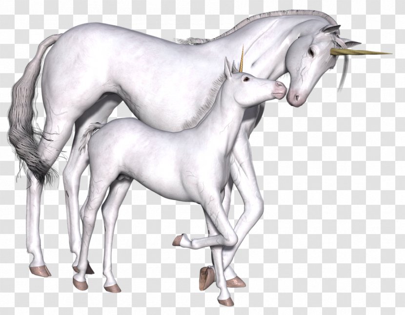 Unicorn Fairy Tale Imaginary Myth Game Transparent PNG