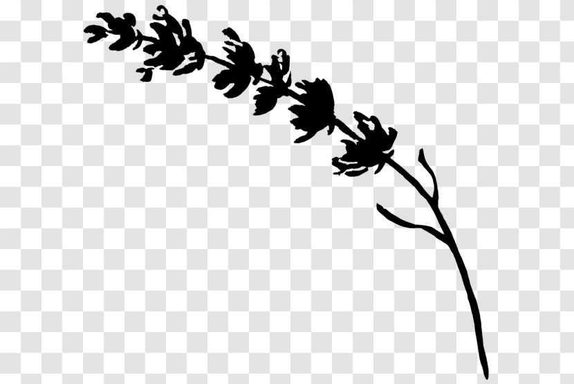 Leaf Clip Art Line Plant Stem Flowering - Pedicel - Botany Transparent PNG