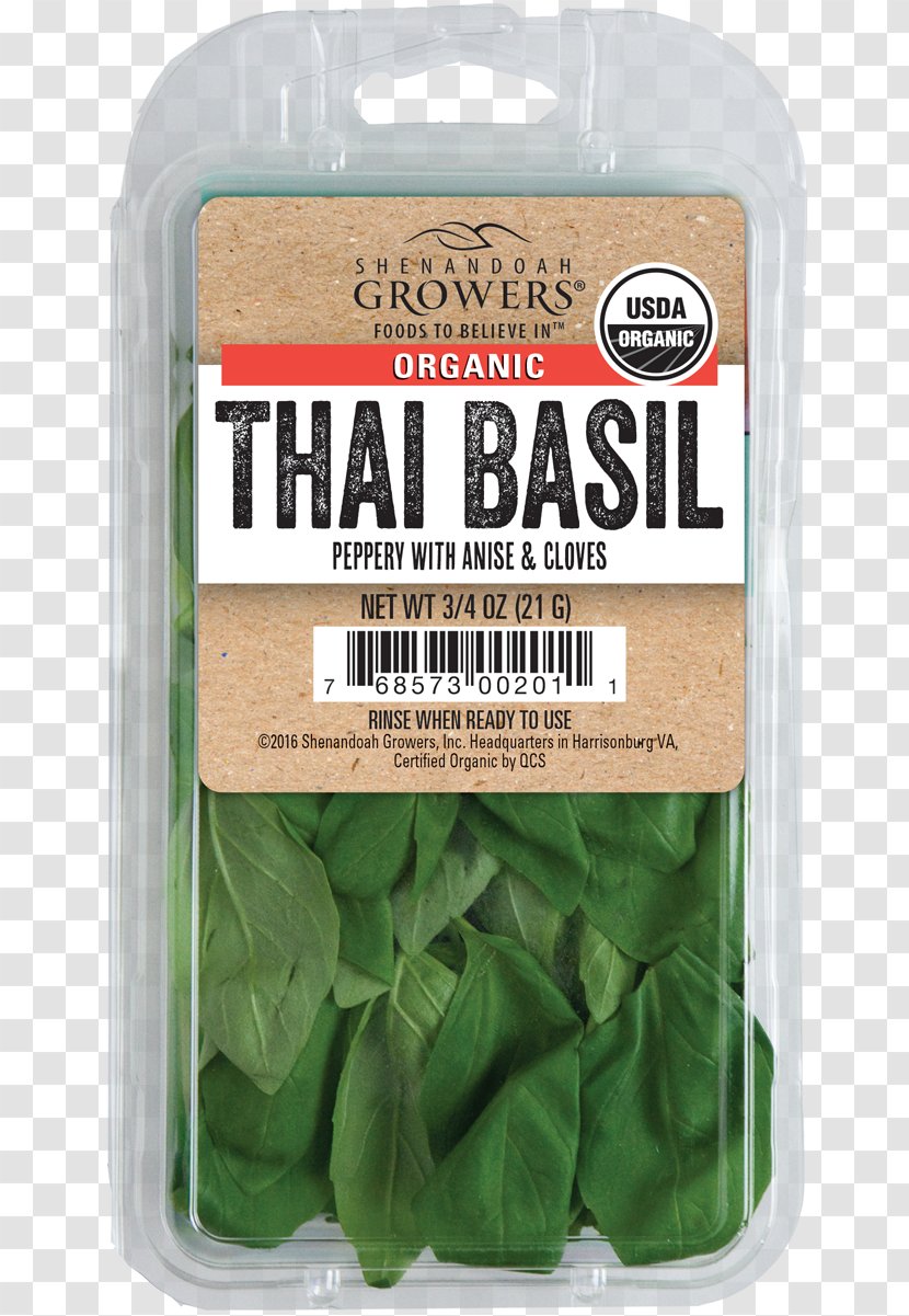 Organic Food Basil Asian Cuisine Italian Summer Savory - Thai Herb Transparent PNG