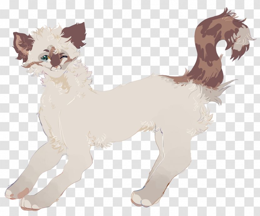 Whiskers Cat Canidae Dog Horse - Camel Like Mammal Transparent PNG