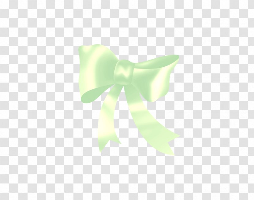 Blue Wallpaper - Green - Bow Transparent PNG