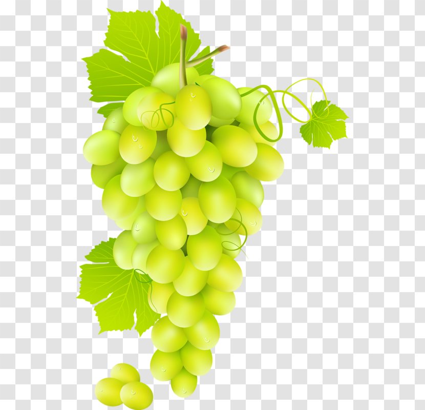Wine Juice Common Grape Vine - Seedless Fruit - Green Grapes Transparent PNG