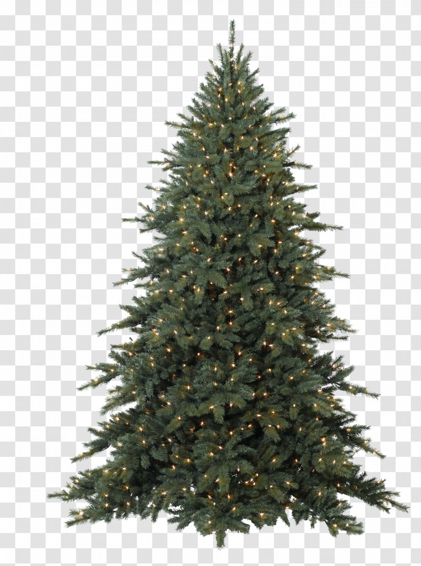 Fraser Fir Balsam Artificial Christmas Tree - Prelit - 16 Transparent PNG