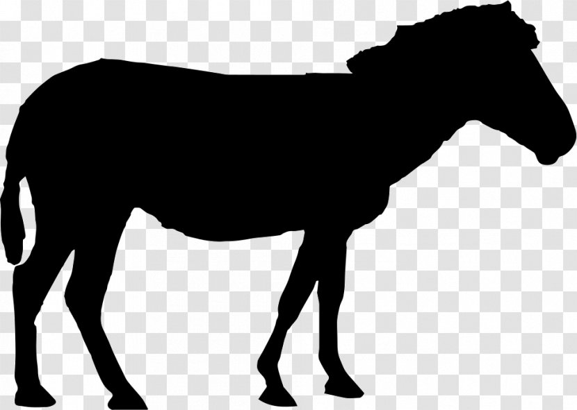 Mustang Standing Horse Silhouette Transparent PNG