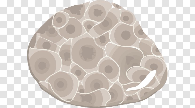 Rock Petoskey Stone Clip Art - Stones Cliparts Transparent PNG