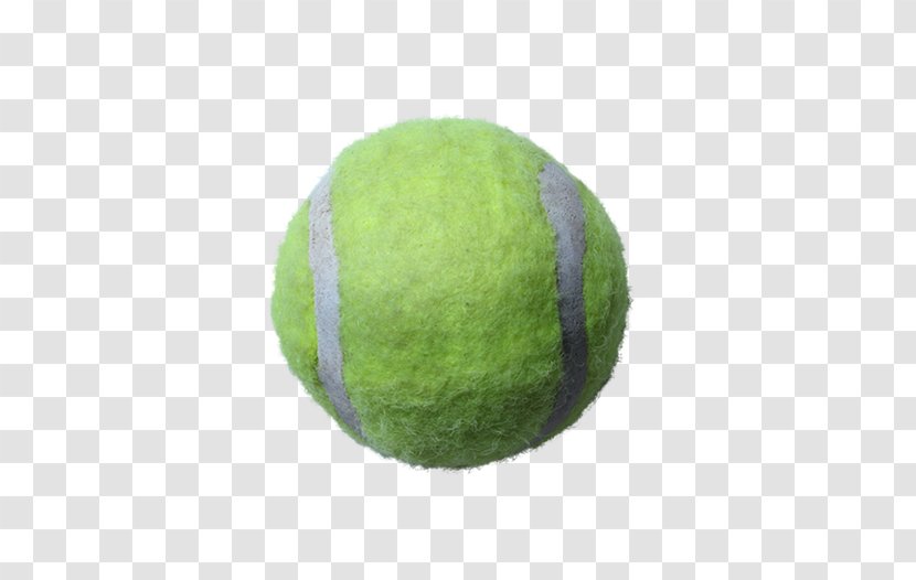 Download Sport Tennis Ball - Neck - Green Transparent PNG