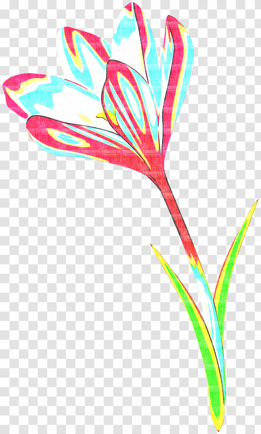 Plant Flower Pedicel Plant Stem Transparent PNG