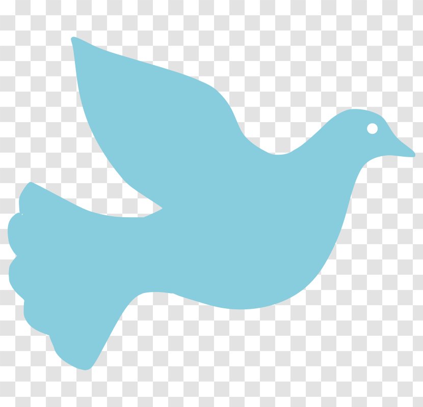 Torrexf3n Feather Travel Illustration - Duck - Dove Images Pictures Transparent PNG