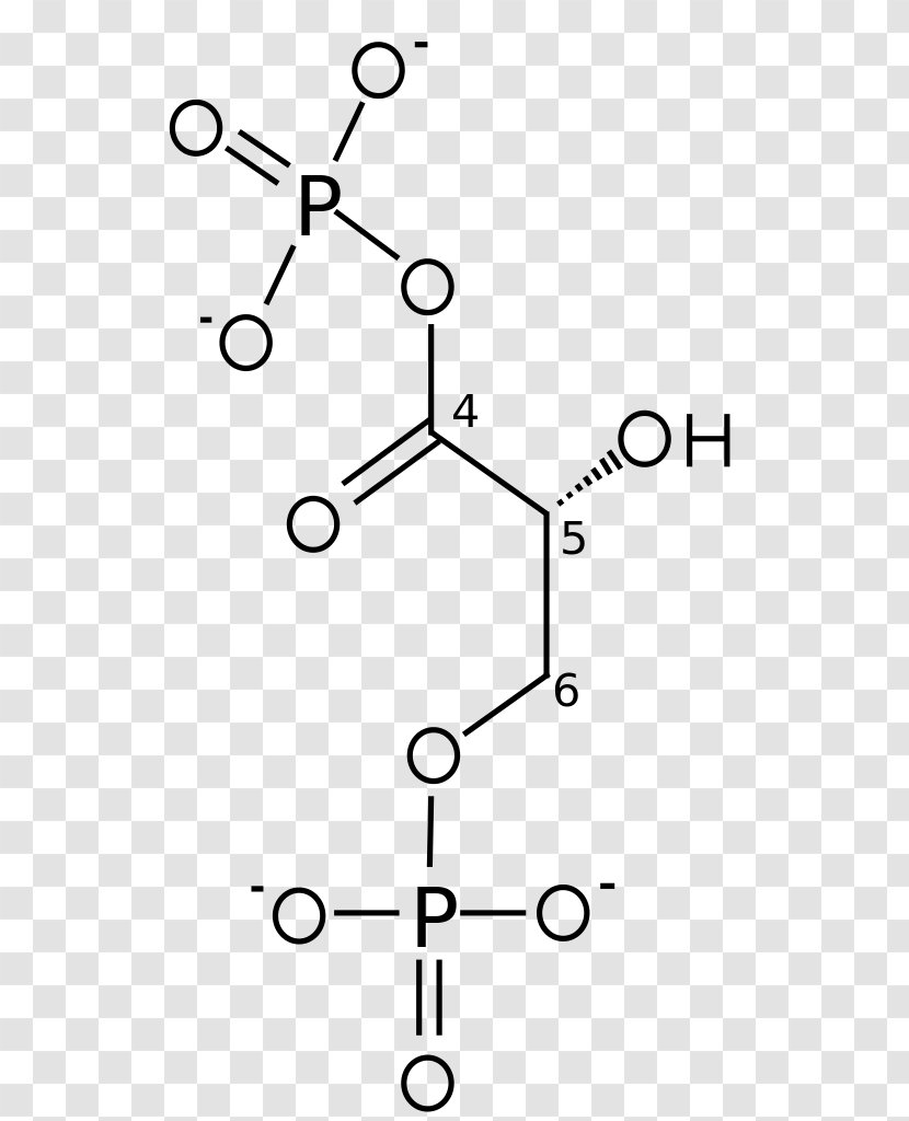 Glyceraldehyde 3-phosphate 3-Phosphoglyceric Acid Glycolysis Dihydroxyacetone Phosphate - 3phosphoglyceric Transparent PNG