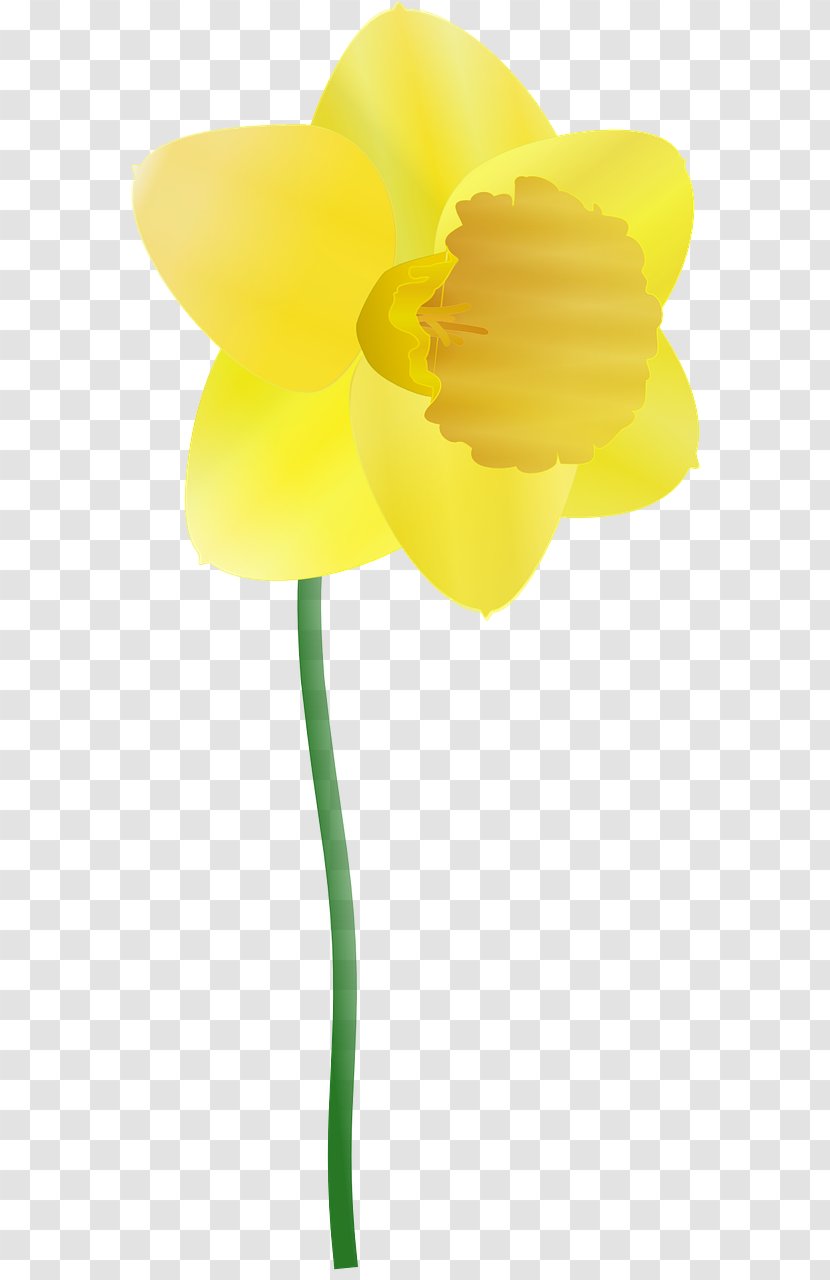 Daffodil Clip Art - Royaltyfree - Yellow Flowers Transparent PNG