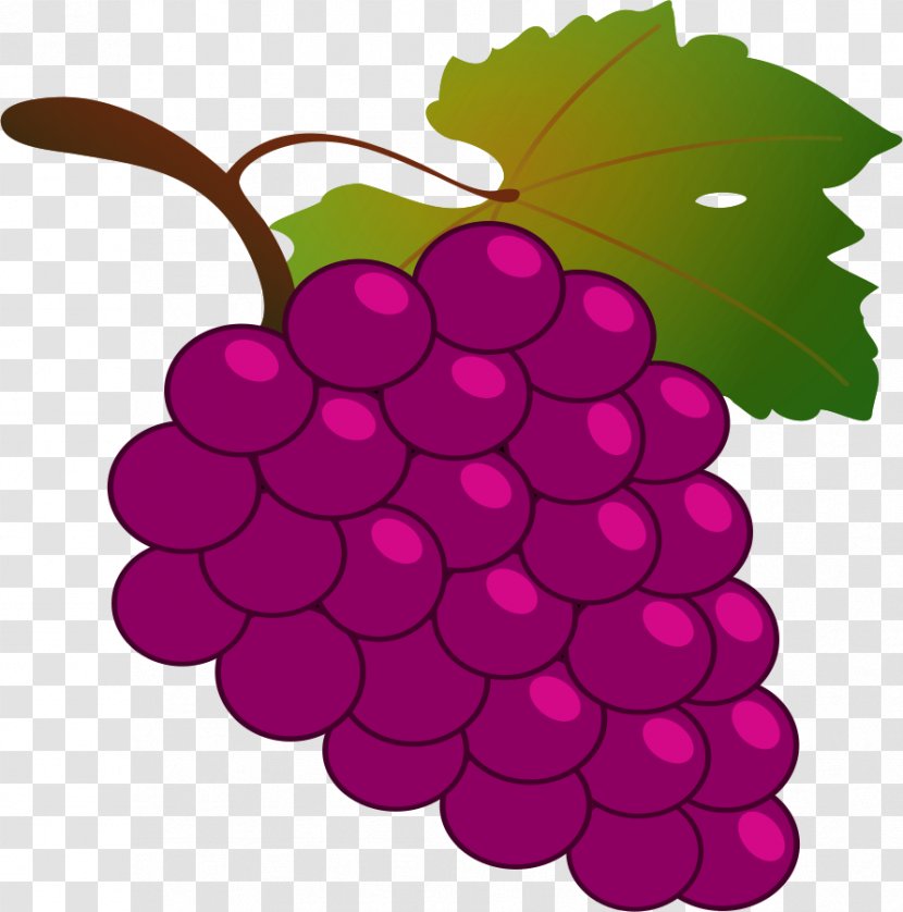 Grapevines Purple Clip Art - Grape Transparent PNG