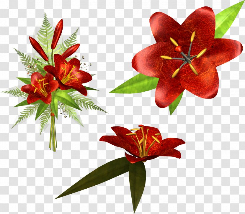 Flower Lilium Clip Art - Floral Design Transparent PNG