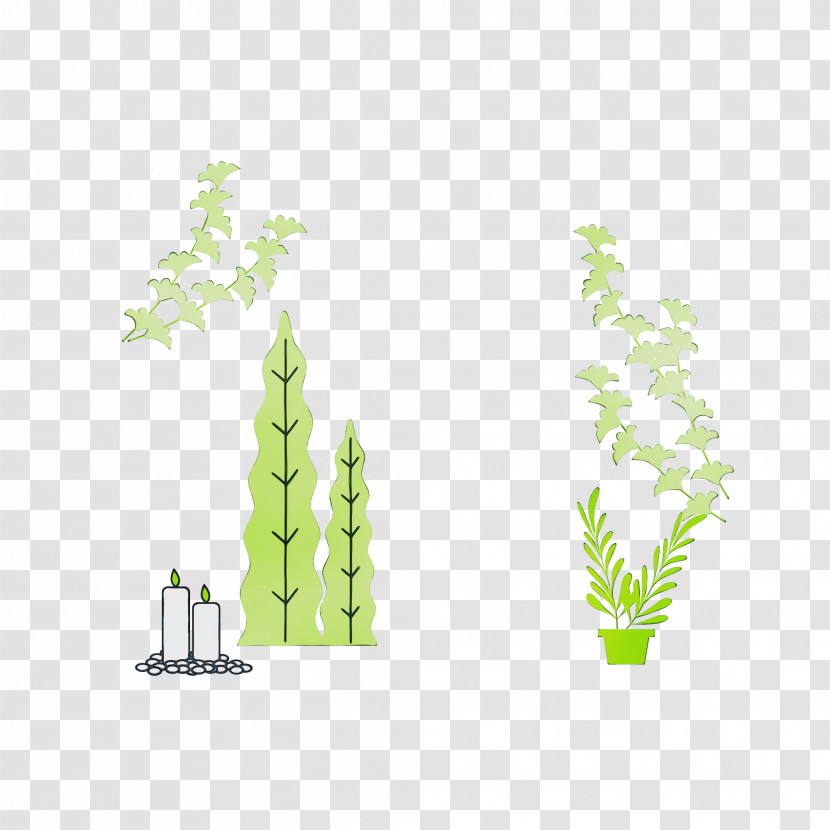 Leaf Plant Stem Grasses Tree Flowerpot Transparent PNG