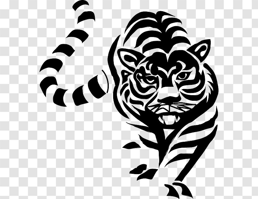 Clip Art White Tiger Black Lion Drawing - Small To Medium Sized Cats Transparent PNG
