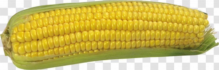 Maize Download Clip Art - Archive File - Fresh Corn Transparent PNG
