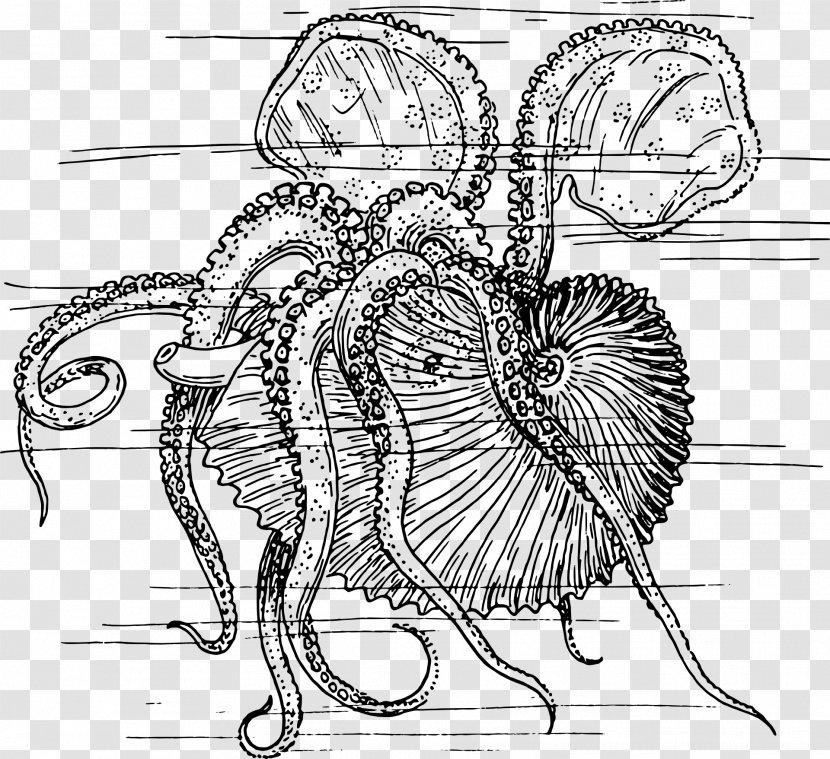 Nautilidae Octopus Chambered Nautilus Clip Art - Flower - Seashell Transparent PNG