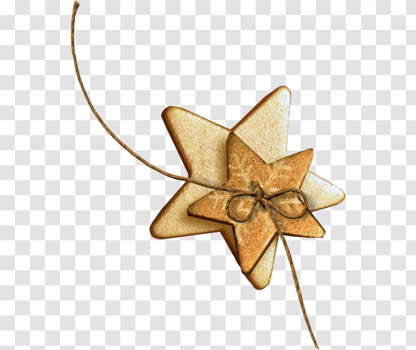 Star Christmas Ornament Photography Transparent PNG