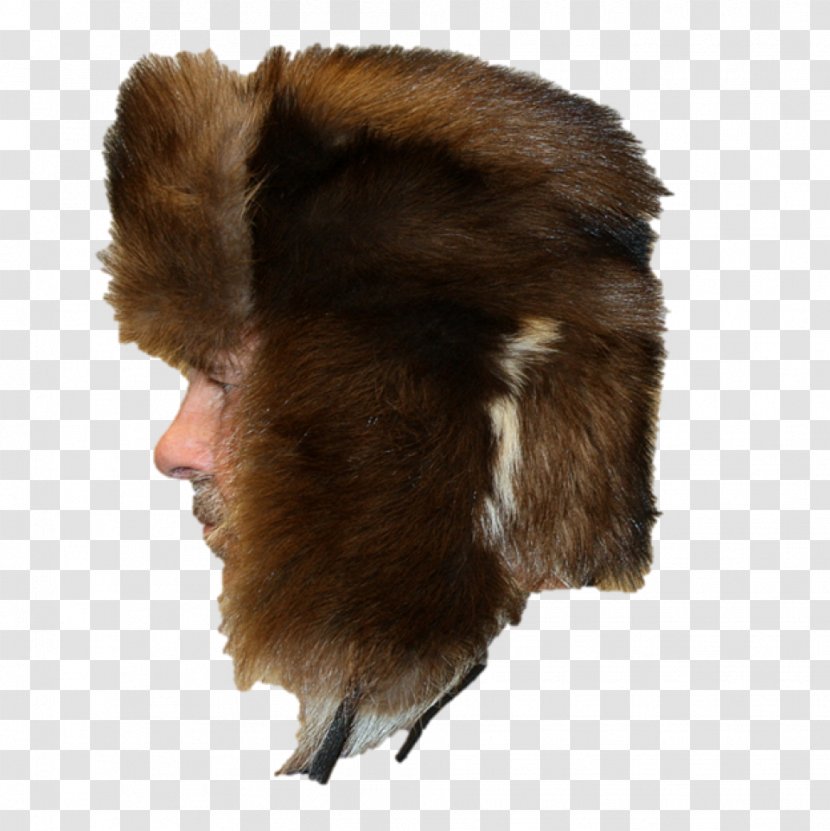Fur Hat Cap Bearskin - Clothing - Full Mink Baseball Transparent PNG