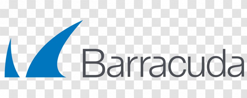 Barracuda Networks Computer Security Data Network Backup - Blue - Tandem Bicycle Transparent PNG