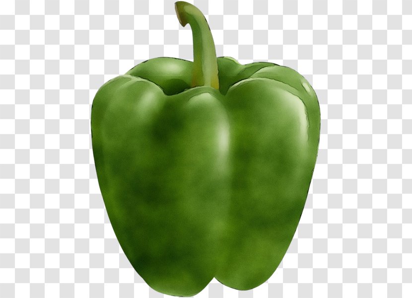 Bell Pepper Pimiento Green Capsicum - Paint - Food Plant Transparent PNG