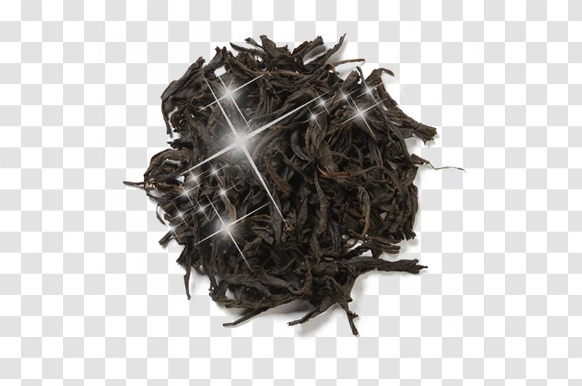 Anhua County Fermented Tea Oolong Chinas Famous Teas - Lapsang Souchong - Black Picture Material Transparent PNG