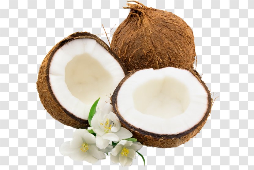 Coconut Water Juice Milk - Cocos Transparent PNG