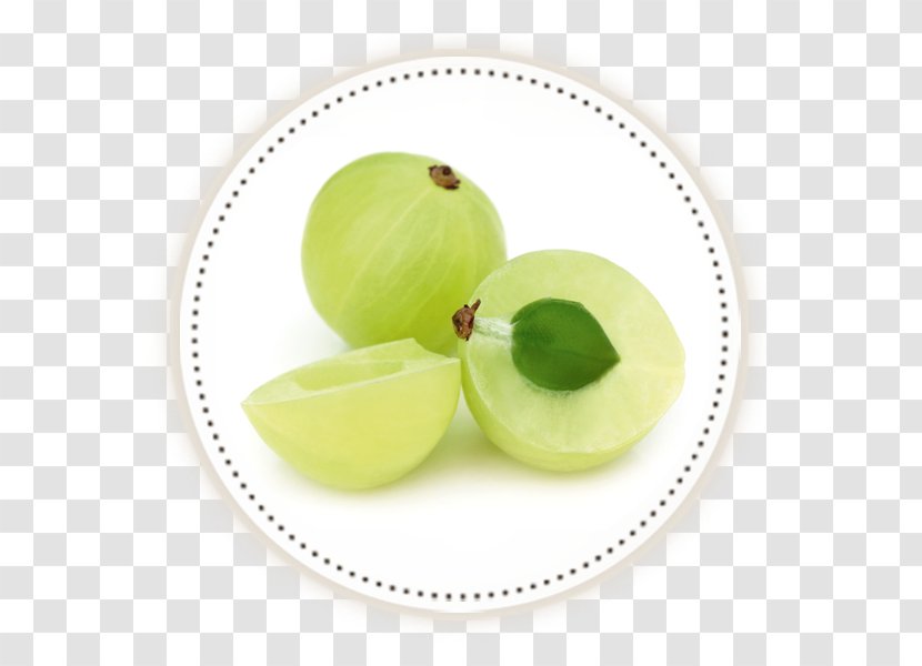 Toy Party Birthday Stuffy - Food - Amla Transparent PNG