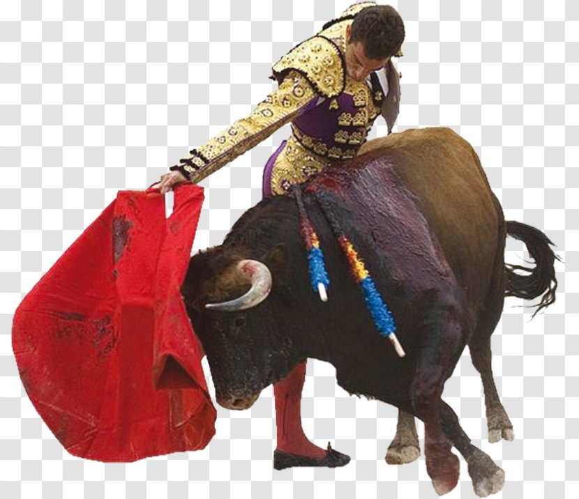 Spain Spanish Fighting Bull Spanish-style Bullfighting - Game - Theme Wind Creatives Transparent PNG