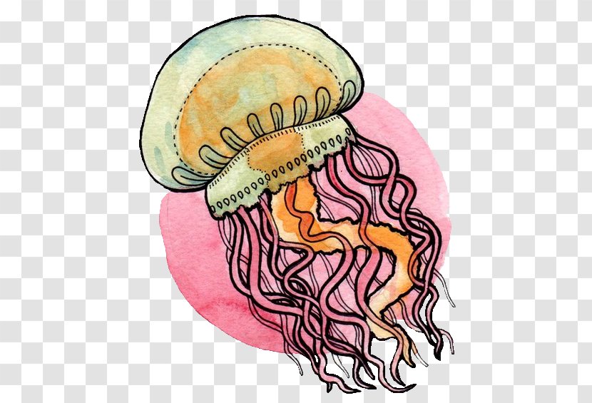 Jellyfish Chrysaora Animal Transparency And Translucency - Silhouette - Watercolor Transparent PNG