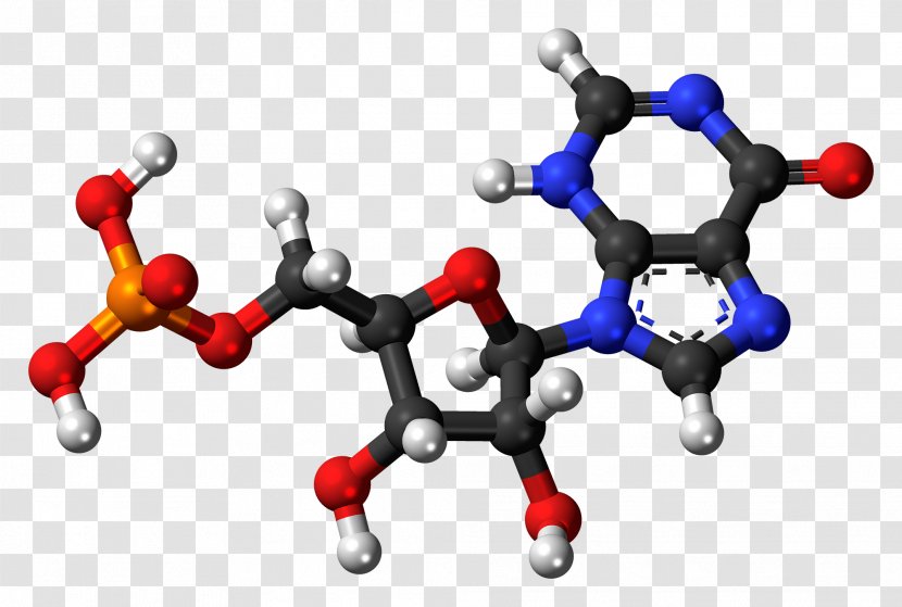 Adenosine Diphosphate Triphosphate Monophosphate Organic Chemistry - Tree - DNA Transparent PNG