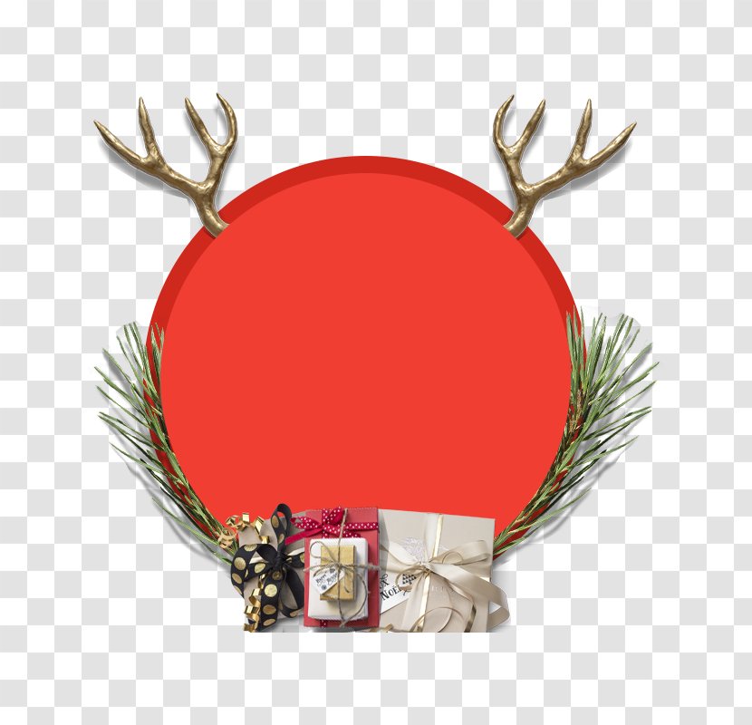 Antler Gift Deer Christmas Day Horn - Plant - Circle Colors Transparent PNG