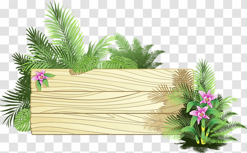 Plant Tree Grass Landscape Rectangle Transparent PNG