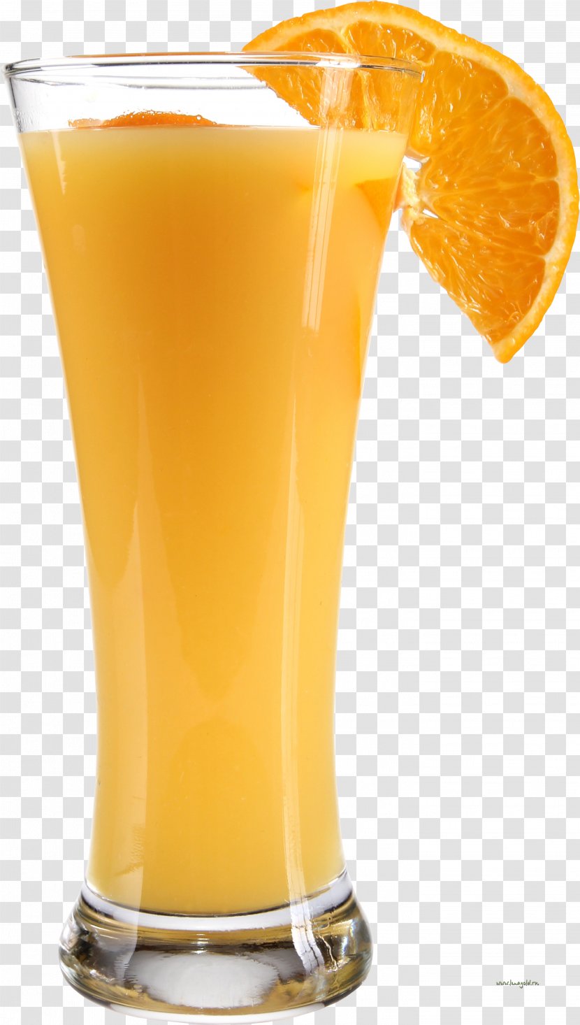 Orange Juice Apple - Sex On The Beach - Punch Transparent PNG