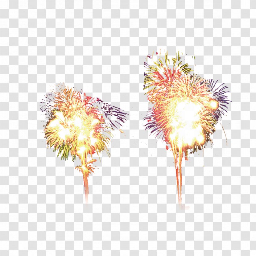 Fireworks Chinoiserie Google Images Transparent PNG