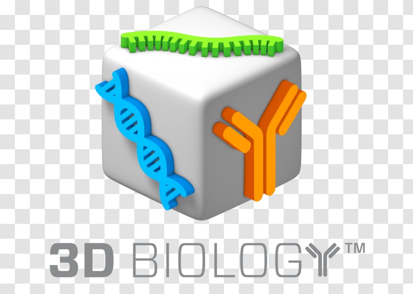 Biology NanoString Technologies Genomics DNA 3D Computer Graphics - Threedimensional Space - Journal Writing Format Transparent PNG