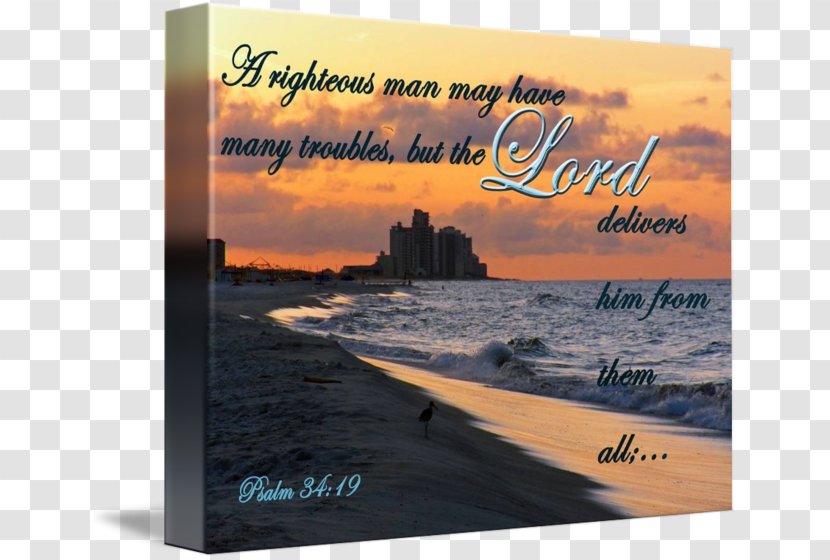 Religious Text Bible Art Image - Fine - Build Your Own Beach Cart Transparent PNG