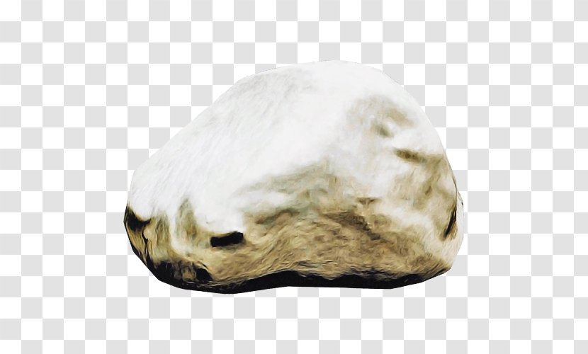 Rock Skull Bone Fur Transparent PNG