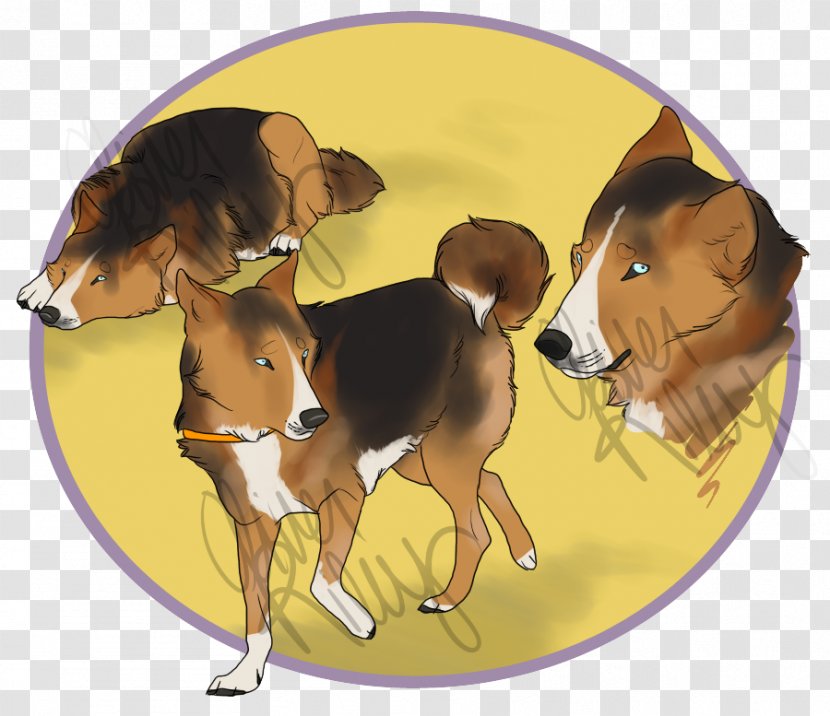 Dog Breed Snout Cartoon - Saarloos Wolfdog Transparent PNG