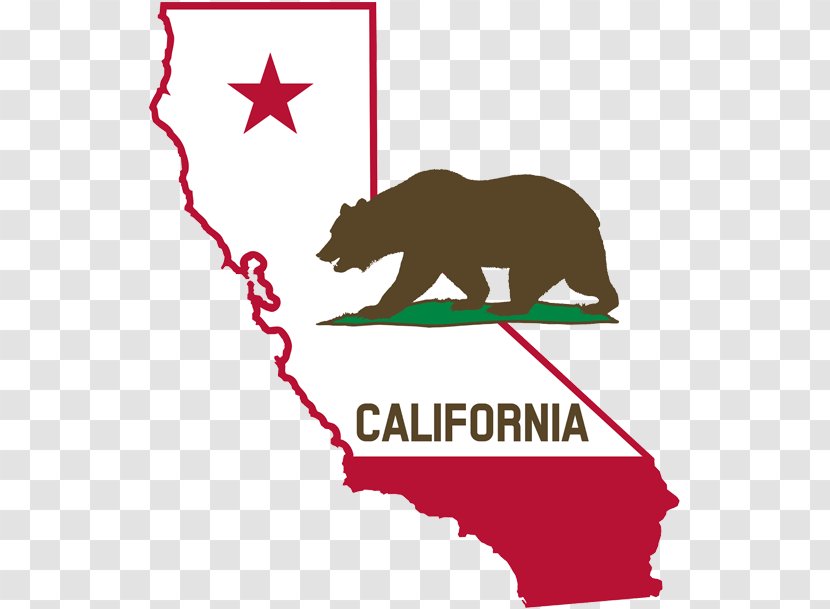 California Republic Clip Art - Organism - Bear Transparent PNG
