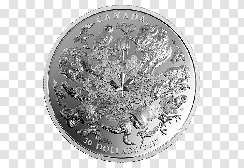 Silver Coin Bullion - Nickel Transparent PNG