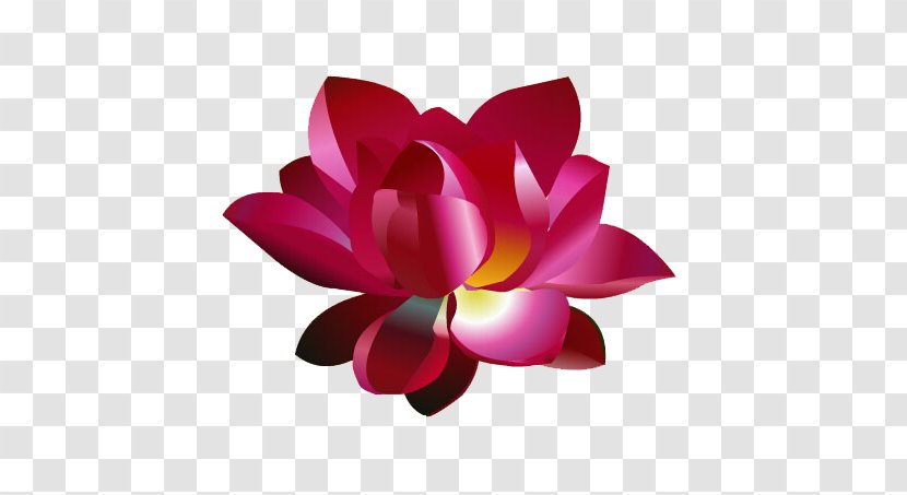 Adobe Animate Nelumbo Nucifera Animation Icon - Information - Bright Lotus Transparent PNG