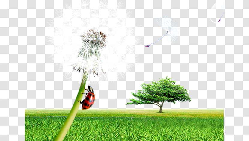 Xianning Resource - Green - Dandelion Meadow Transparent PNG