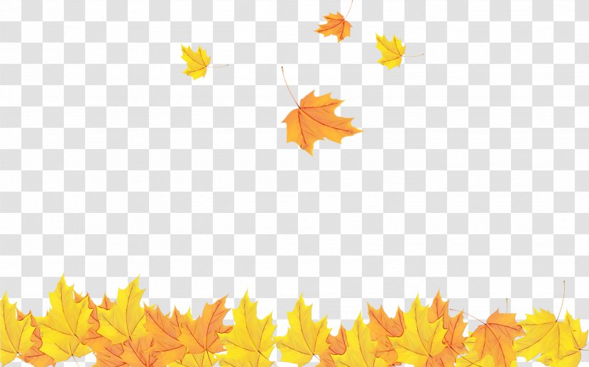 Maple Leaf - Autumn Transparent PNG