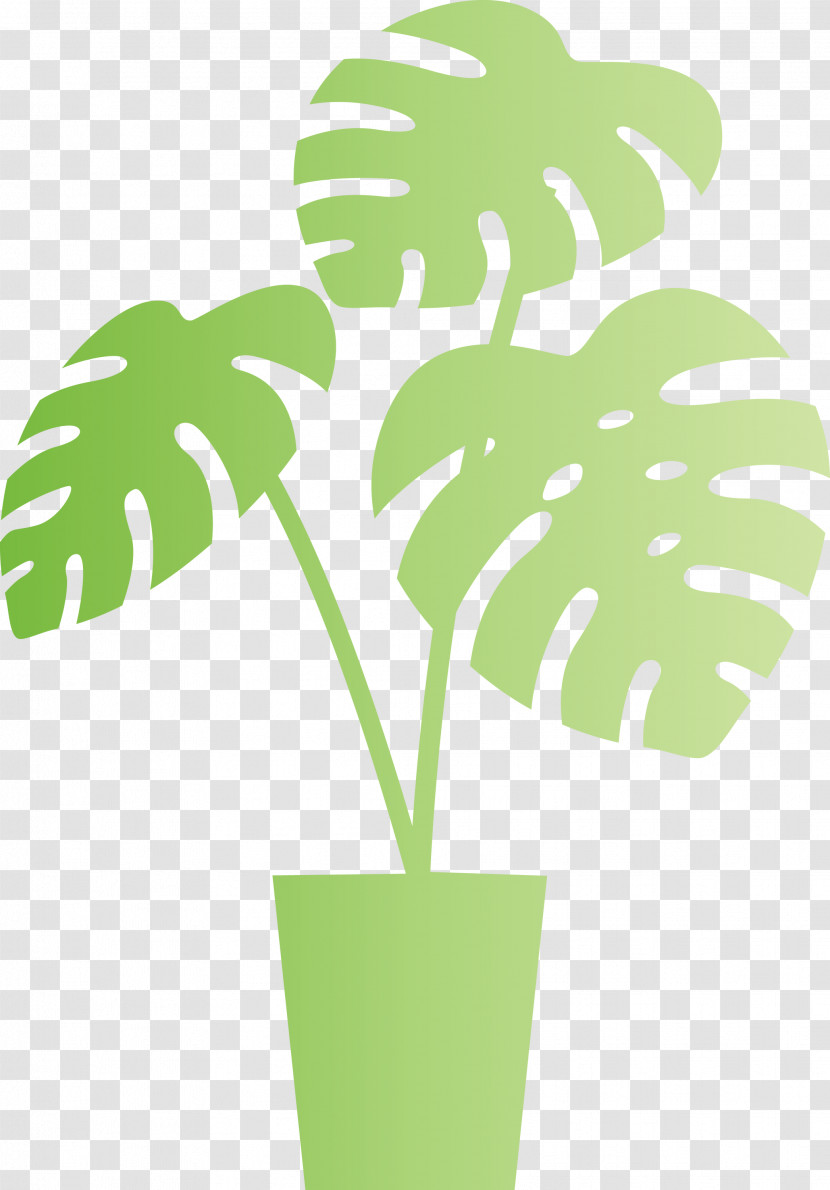 Monstera Tropical Leaf Transparent PNG